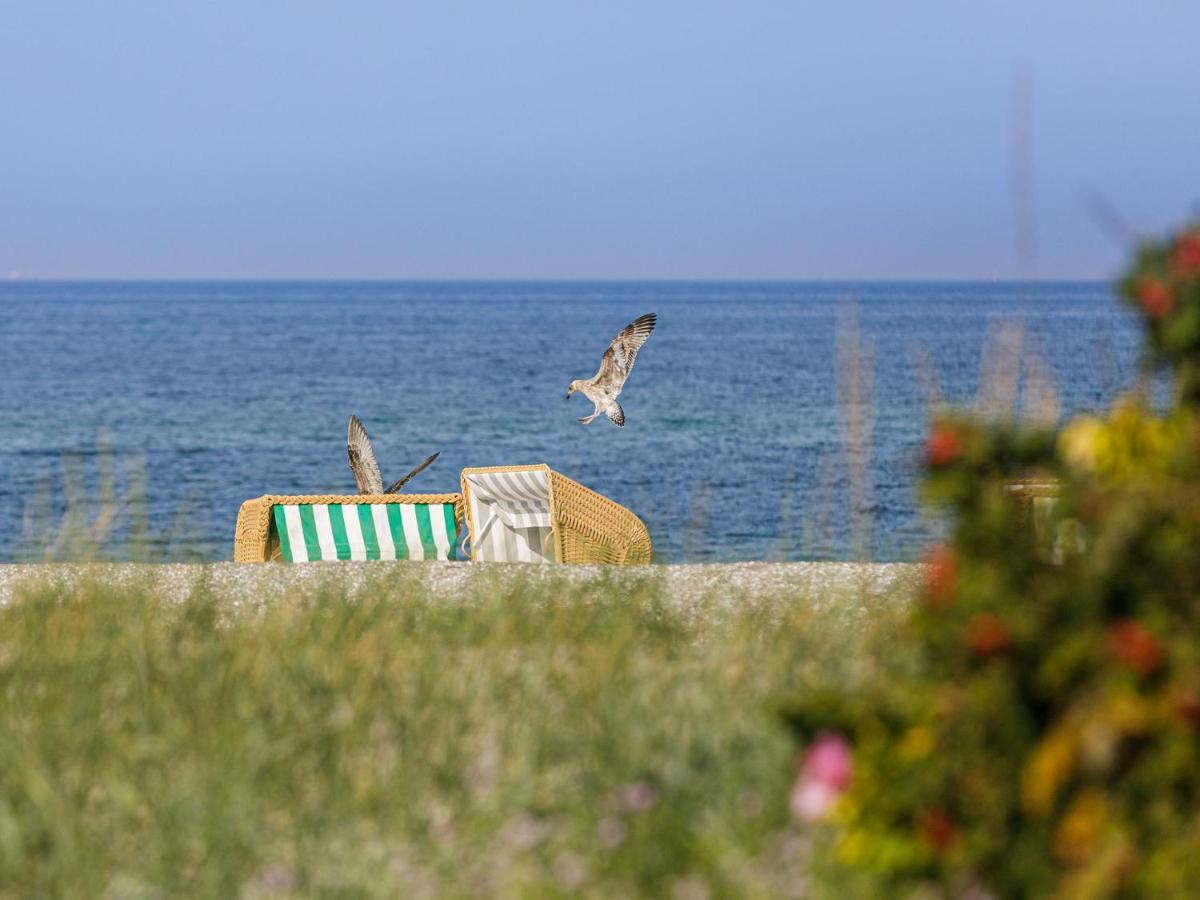 Aparthotel Zingst Exterior photo